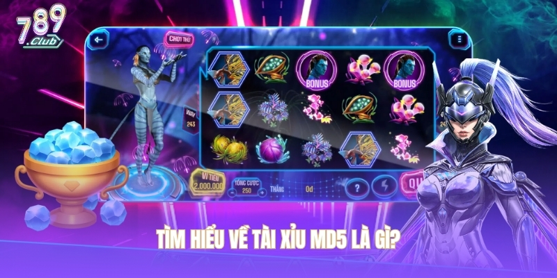 Tìm hiểu về tài xỉu MD5 là gì?
