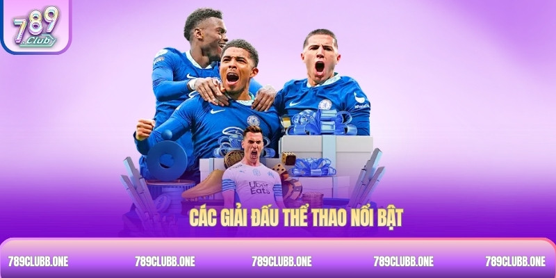 Các giải đấu thể thao nổi bật